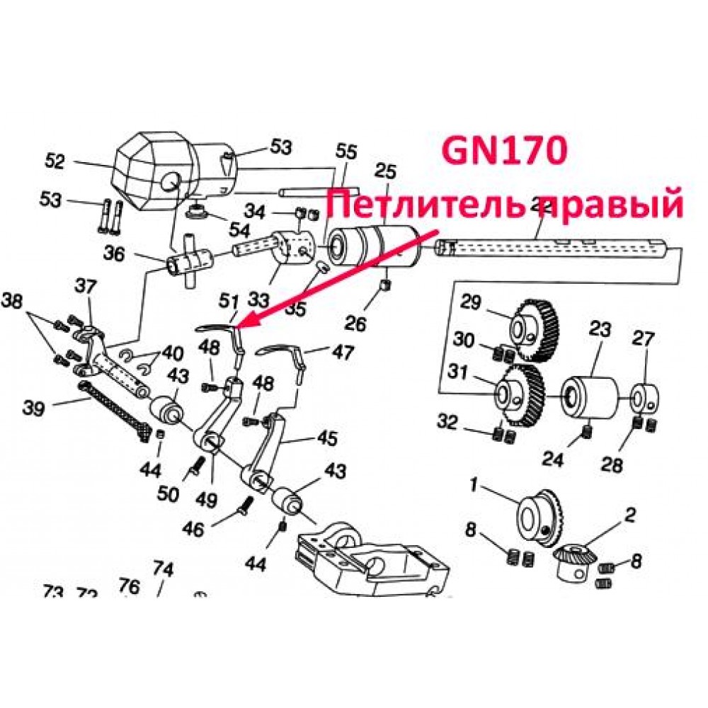 Петельник правий GN170